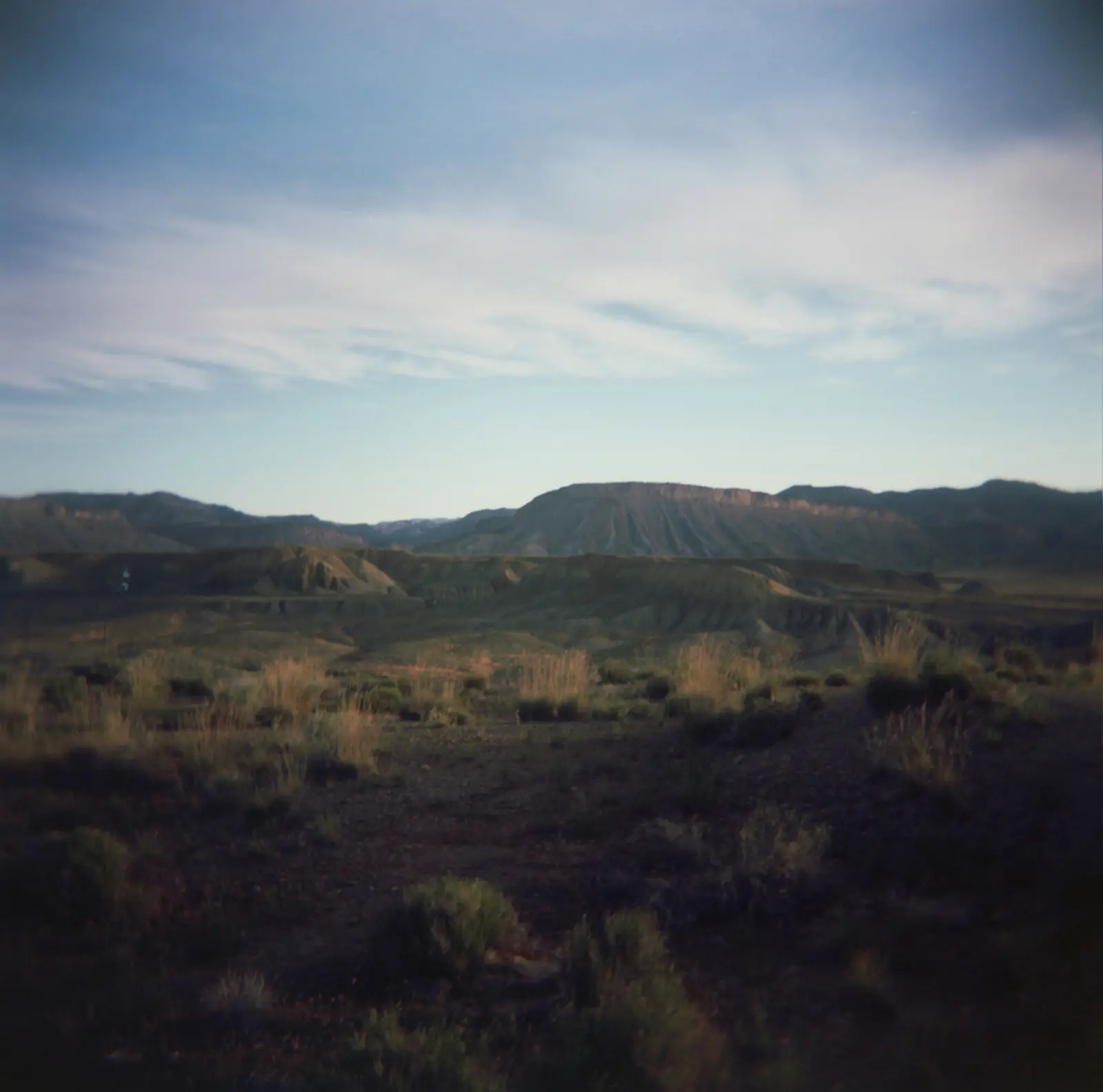 120 medium format photo taken with a Holga of the desert